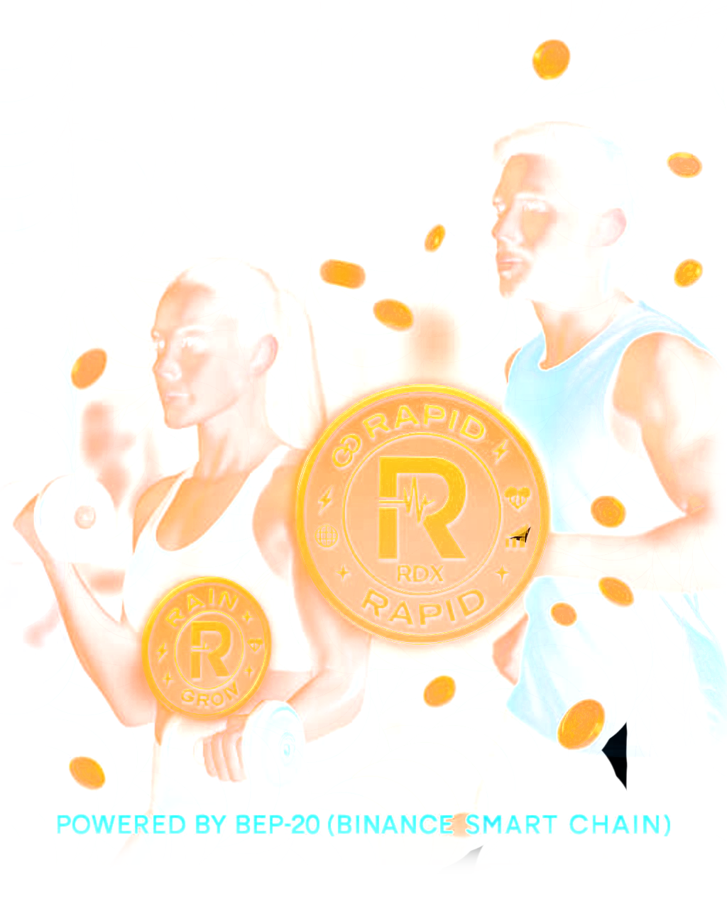 banner Image